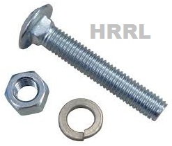 CP Carriage Bolts And Nut With Washer Manufacturer